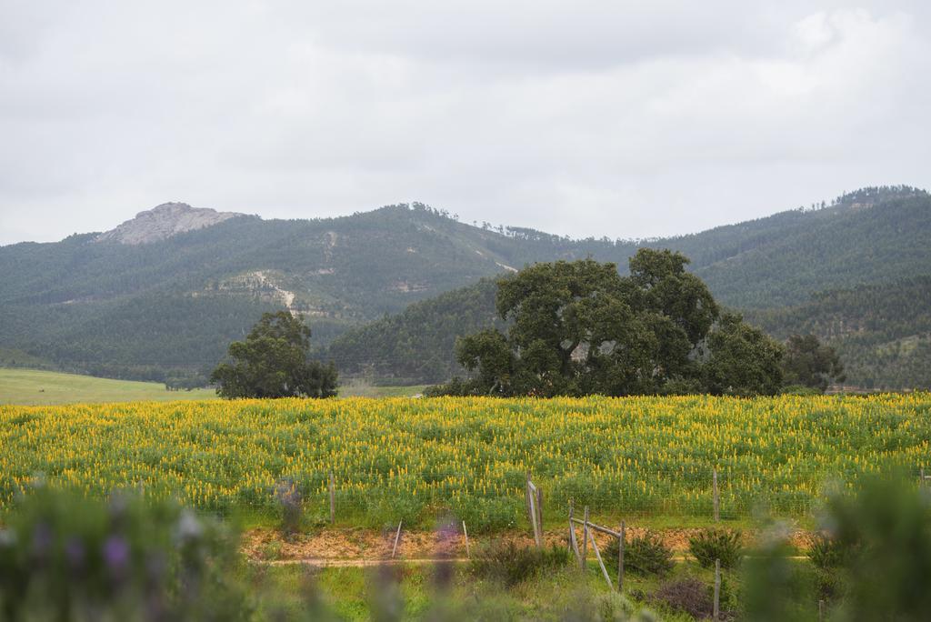 Herdade Do Amarelo Nature & Spa Vila Nova de Milfontes Esterno foto